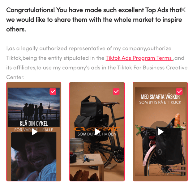 TikTok Success stories